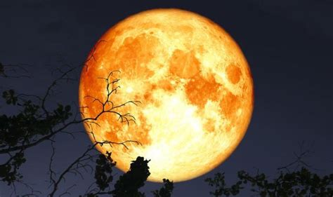 The Harvest Moon and Love Magick: Attracting Romance and Passion